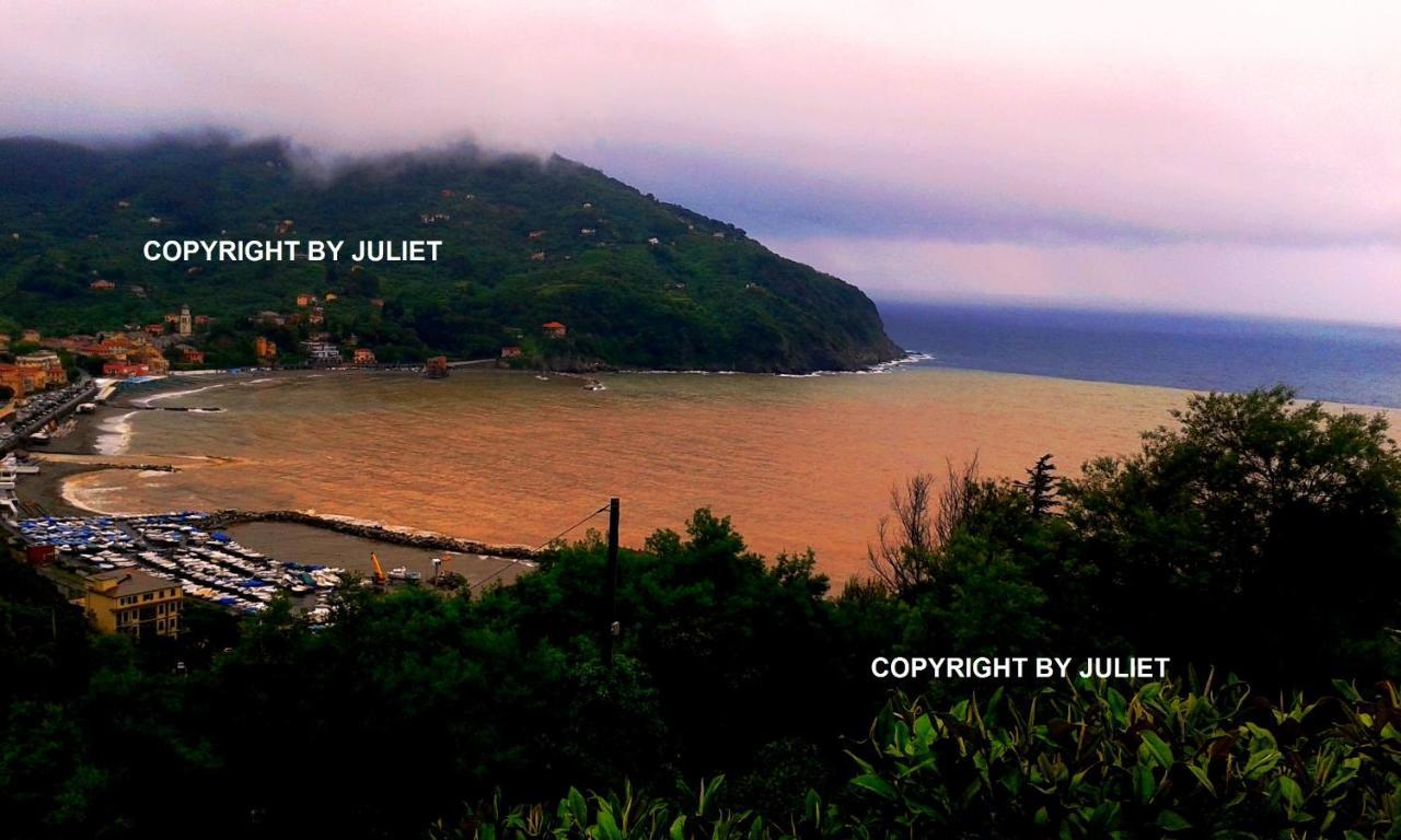 Juliet - Apartment In Liguria 5 Terre Unesco Site Levanto Exterior photo